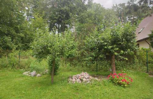 Sulistrowiczki Kwiatowa 3 - Photo 8