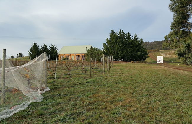 Charles Reuben Estate - Foto 35