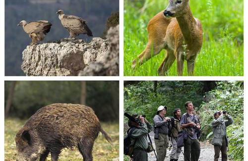 MERINDADES AMAZUL MILANO - Piso turístico - Medina de Pomar - Foto 39