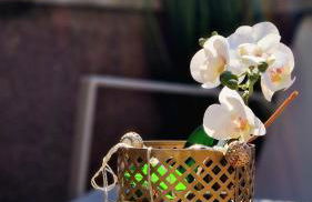 Apartment in Sardinia Sol y Luna 11 - Foto 53