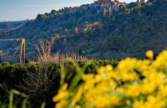charmant 2 pièces vue Saint Paul de Vence 1 chambre - Foto 12