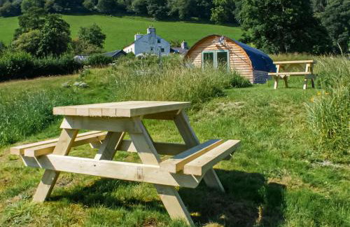 Barcud Coch - Uk44539 - Foto 20