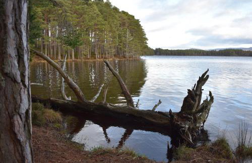 Bynack Lodge - Foto 43