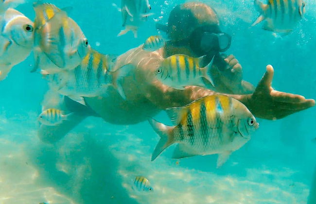 Escursione a Ponta do Seixas e Penha - Foto 2