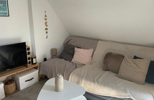 Le 105 - appart-sympa - T2 vue jardin et cave - Larmor-Plage - Foto 5