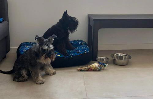 Atalaya de Fornells - Foto 6