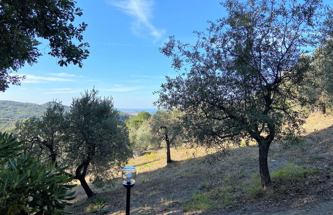 Home Relax - Foto 43