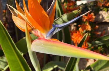 Finca Los Tomillos - Foto 15