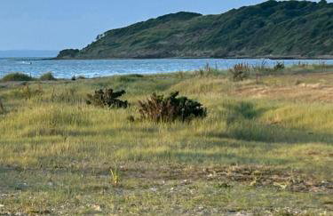 luxury new 3 bed caravan with stunning sea view on private beach in Thorness bay - Foto 45