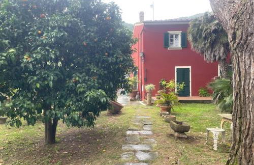 Il Piccolino - Foto 3