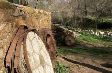 Molino Mellado - Foto 56