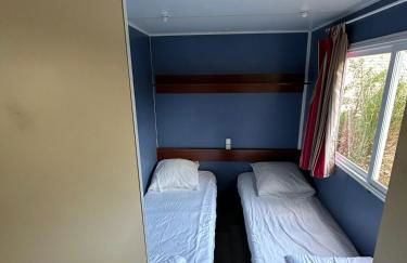 Salamandre - Foto 26