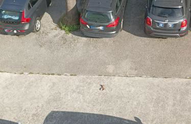 Villaggio Verde Cupra - Foto 53