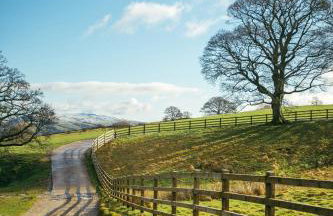 Moor Tops by Birch Stays - Photo 32