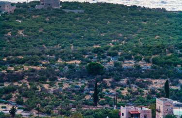 Guesthouse Toxotis - Foto 71