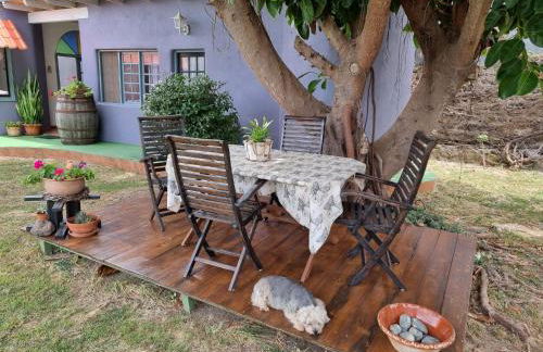 Finca-Las Mariposas 2 - Foto 40