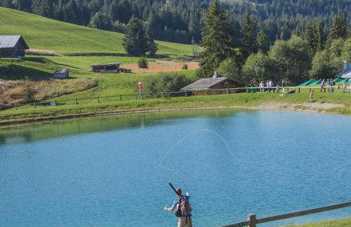 megeve appartement des Crêtets - Foto 33