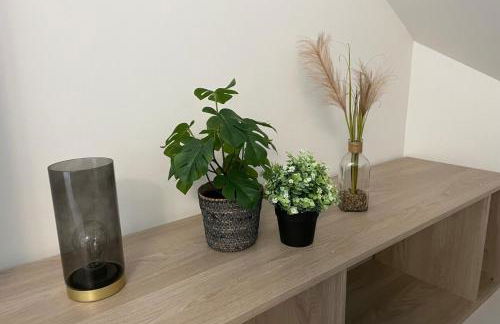 Loft Mezzanine with View of the Loing - Foto 15