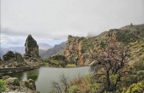 La Casita de Coco Tejeda - Foto 29