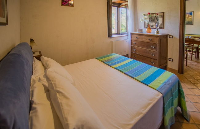 Poggio Pozzetti - Photo 16