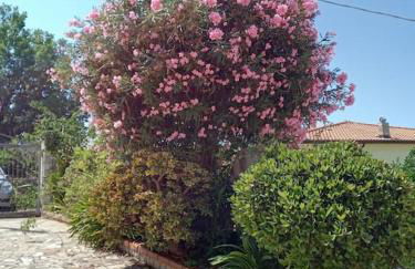 Villa bella Diamante - Foto 14