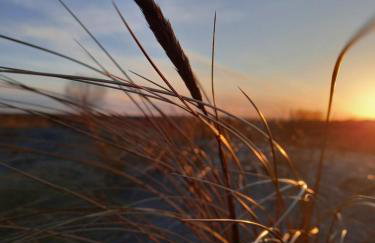 Apartamenty LeVilla - Foto 36