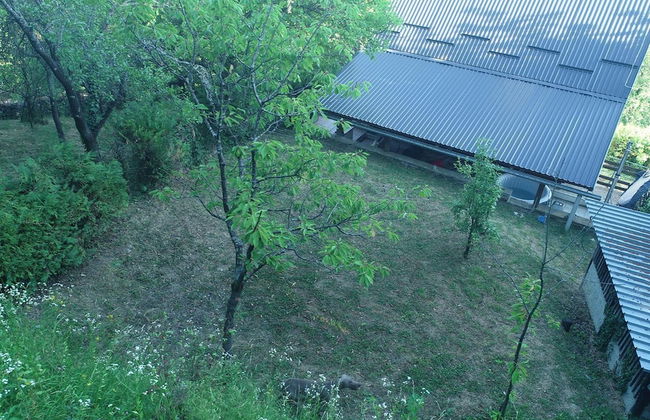 Plesivica Hillside Holiday Home With Hot -tub - Foto 12