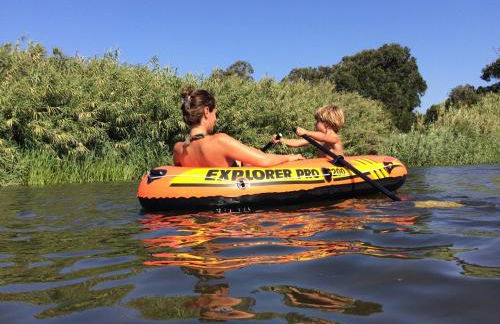 Bico das flores - Foto 73