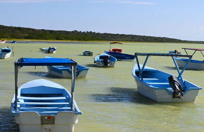 Excursión a la Laguna de Oviedo con avistamiento de flamencos - Foto 3