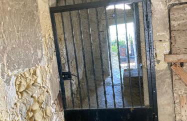 La Maison des Orchidées - Photo 32