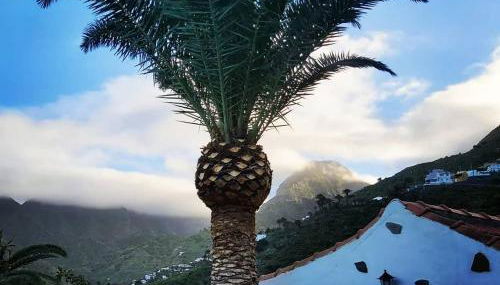 Finca Lomo Grande - Foto 1