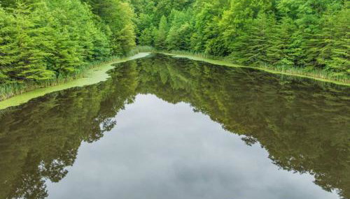 Hidden Treasure- Private Pool, Pond, 1600 Acres - Foto 5