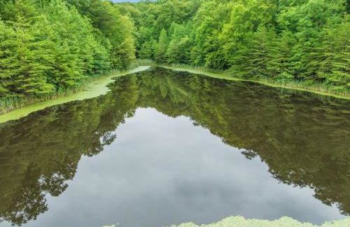 1 600 Acres Pool Pond Hidden Treasure RRG - Foto 3