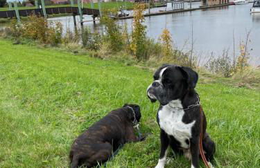 Gulfhaus Alte Meesterei - Foto 73