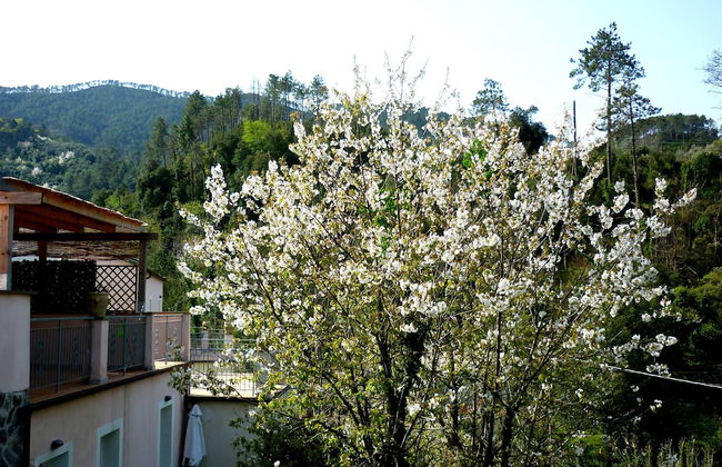 Resort Costa Morroni - Photo 66