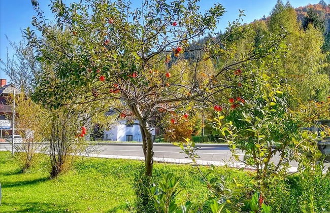 Apartma Jerman - Foto 16