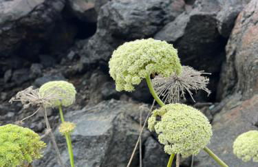 Dammuso Pensare alla Luna - Foto 59