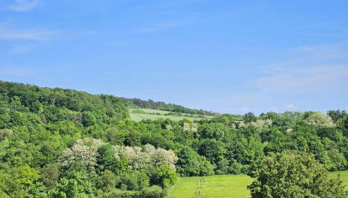 Grand Gîte Nature à Jezainville - Clim, Jardin Privé & Terrasse - 7 lits - Foto 2