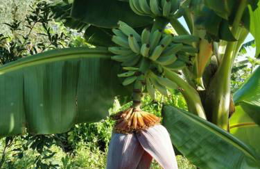 Nature Sanctuary, a semi-detached house on an ecological & sustainable farm - Foto 23