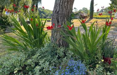Gîte de la ferme L'Archerie - Foto 22