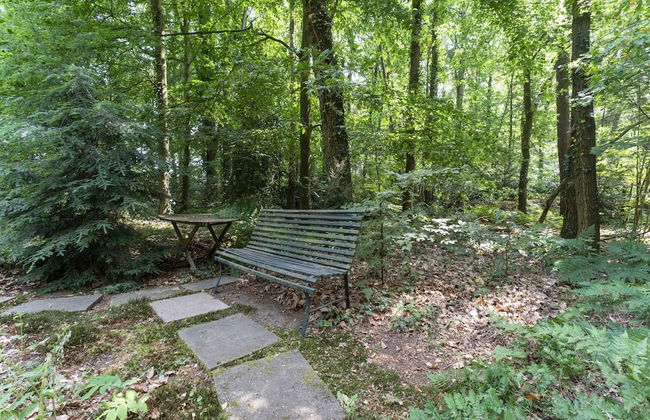 Holiday Home in Epse With Sauna - Foto 29