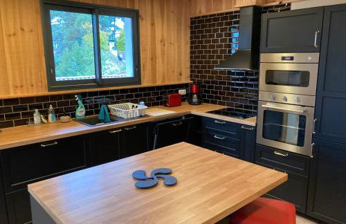 :Le tchanqué du bassin d'arcachon - Foto 5