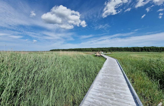 5 Person Holiday Home in Morbylanga-by Traum - Foto 11