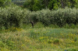 Maison de la Porte des Loups dans le Ventoux - Foto 26