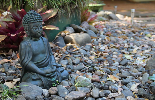 Kiwarrak Country Retreat - Foto 24