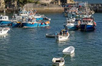 Townhouse Parking 1 Min Walk to Tolcarne Beach - Foto 26