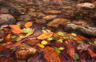 APTO RURAL FRAGARIA - VALLE DEL AMBROZ - entorno natural único "ALQUILER FAMILIAR" - Foto 28