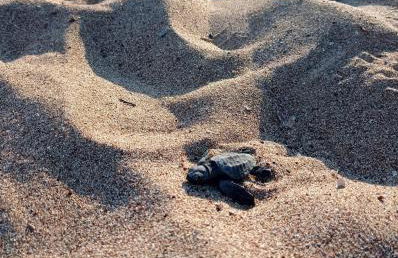 Tritsili house - Photo 44