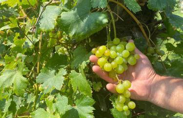 Casa Vacanze Vista Monviso - Photo 18