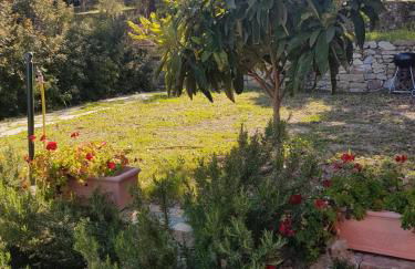 Villa Caterina - Foto 28